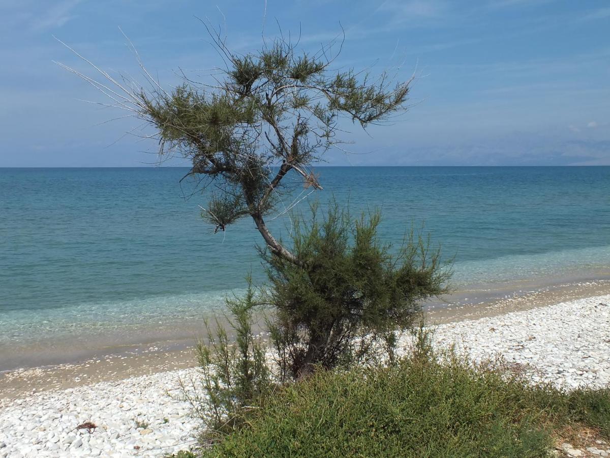 Frosos Beachfront Maisonette Acharavi Acharavi  Buitenkant foto